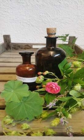 Frauenkräuter – Teil 1