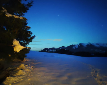 KAC Bludenz - Fackelwanderung im Winterwald