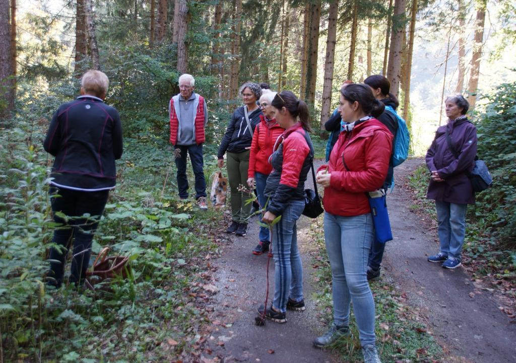 KAC Bludenz - Herbstwanderung 2021