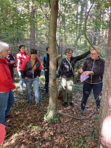 KAC Bludenz Herbst Kräuterwanderung 