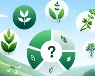 Sebastian Kneipp Quiz 6