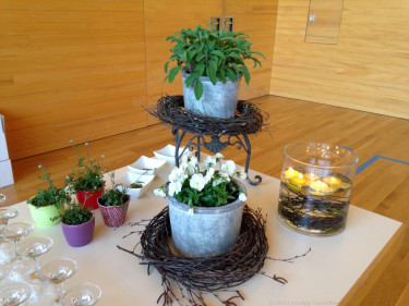 JHV 2017 Langenegg 4008