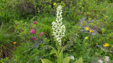Landeswandertag 2018 Diedamskopf 10