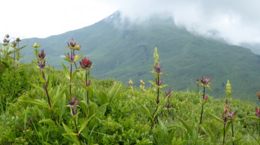 Landeswandertag 2018 Diedamskopf 15