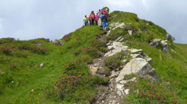 Landeswandertag 2018 Diedamskopf 18