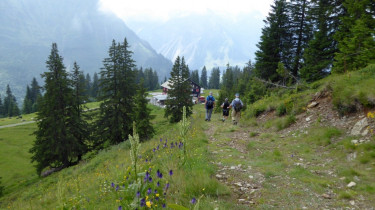 Landeswandertag 2018 Diedamskopf 22