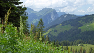 Landeswandertag 2018 Diedamskopf 29