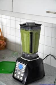 KAC Gaissau Gruene Smoothies  1320