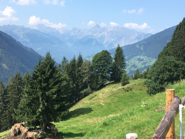 Kneipp Vorarlberg Landeswandertag Silbertal  2498