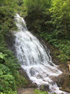 Kneipp Vorarlberg Landeswandertag Silbertal  2504
