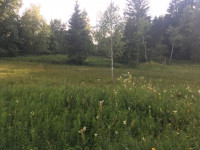 thumb KAC Altach Moorwanderung 4