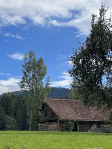 Kneipp LV Vorarlberg Pilgerwanderung Bildstein 3949