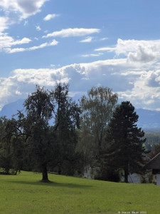 Kneipp LV Vorarlberg Pilgerwanderung Bildstein 3954
