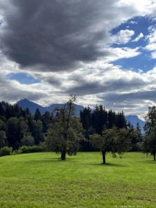 Kneipp LV Vorarlberg Pilgerwanderung Bildstein 3958