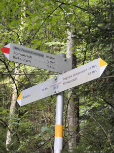 Kneipp LV Vorarlberg Pilgerwanderung Bildstein 3972