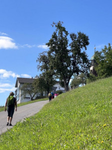 Kneipp LV Vorarlberg Pilgerwanderung Bildstein 3974