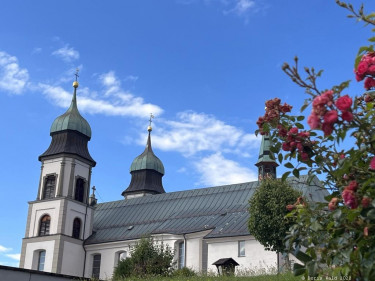 Kneipp LV Vorarlberg Pilgerwanderung Bildstein 3978