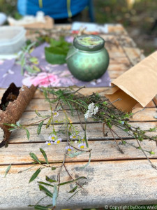 LV Kneipp Vorarlberg Raeuchern In Die Dunkle Zeit 19 11 2022 15 23 18