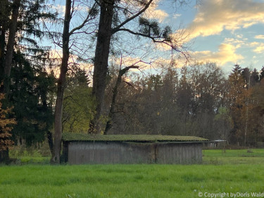 LV Kneipp Vorarlberg Raeuchern In Die Dunkle Zeit 19 11 2022 16 00 53