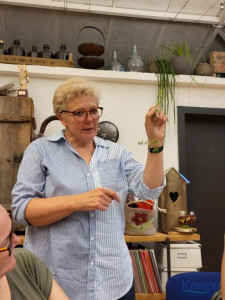 KAC Bludenz Kraeuter 4