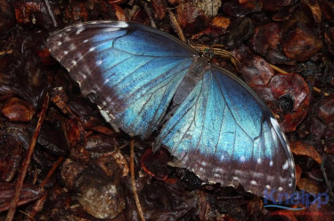 PHOTO 2024 01 26 14 02 22