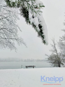 KAC Rankweil Winterwanderung 2023 4