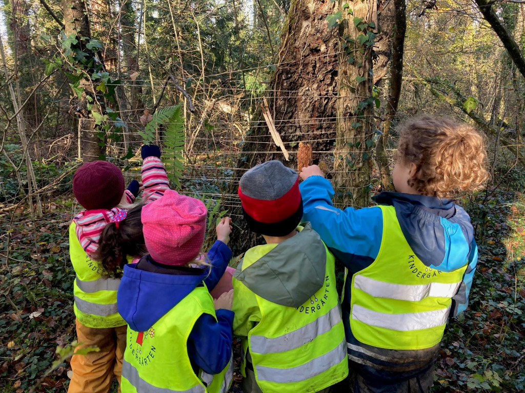 KiGa - Kneippen im Kindergarten Hard