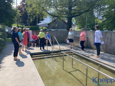 Kneipp Basis Wasserkurs LV Vlbg  5113