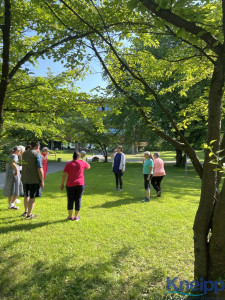 Kneipp Basis Wasserkurs LV Vlbg  8173