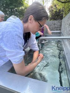 Kneipp Basis Wasserkurs LV Vlbg  8234