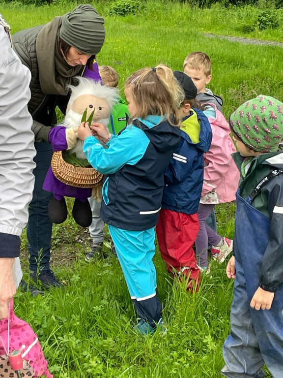 KiGa - Kräuterwanderung in Kastenlangen in Dornbirn