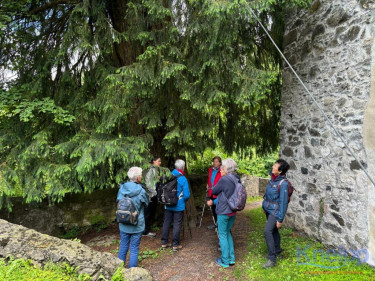 KAC Altach Wanderung Mit Martina Schuster 2024.05.22 23 11 32