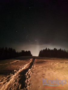 KAC Bludenz Fackelwanderung 13