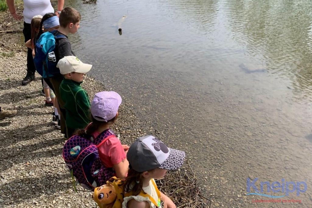 KAC-Dornbirn Biberparadies Rheinholz - Familienwanderung