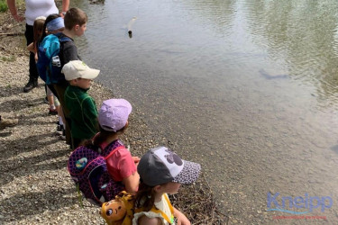 KAC Dornbirn Biberparadies Rheinholz 01