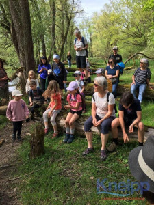 KAC Dornbirn Biberparadies Rheinholz 02