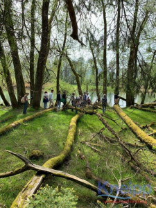 KAC Dornbirn Biberparadies Rheinholz 04