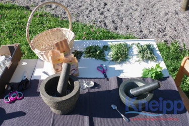 LV Vorarlberg Zertifizierung KIKA Rankweil 7