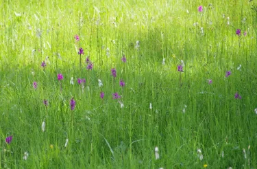 Wanderung 2